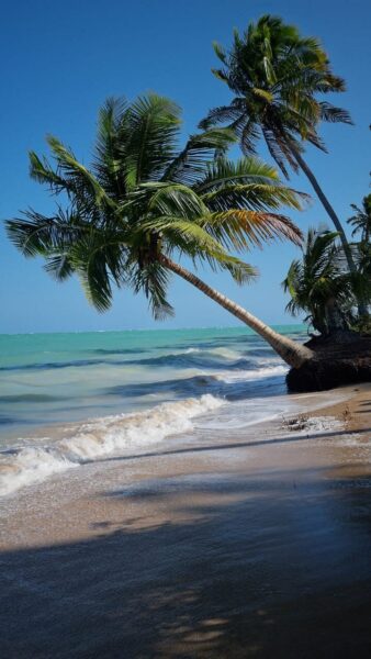 Praia de Maragogi