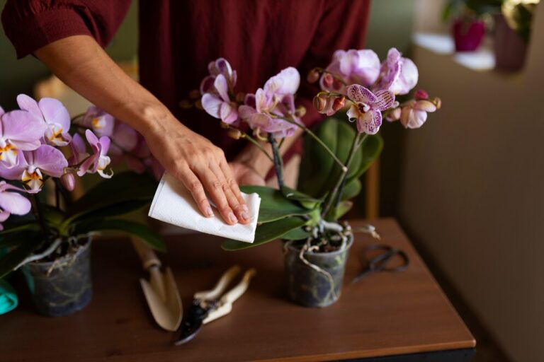 Orquídeas em Vasos de Plástico