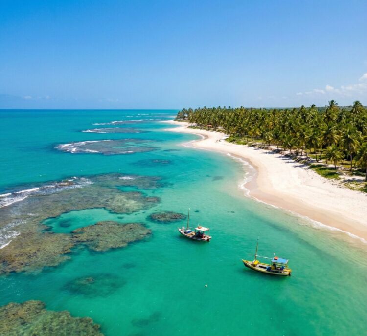 as 5 praias mais belas de Alagoas para visitar