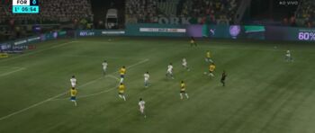 Palmeiras ainda briga pelo título do Brasileirão