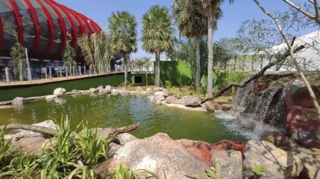 Veja se tem voos disponíveis para Campo Grande (MS) nesta noite